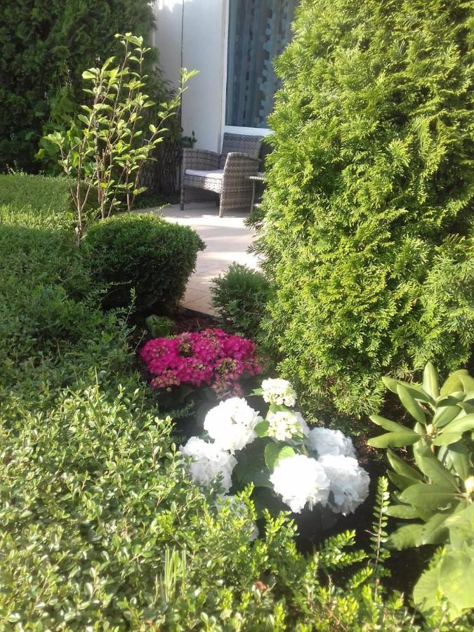 Apartment With Green Terrace 부르가스 외부 사진