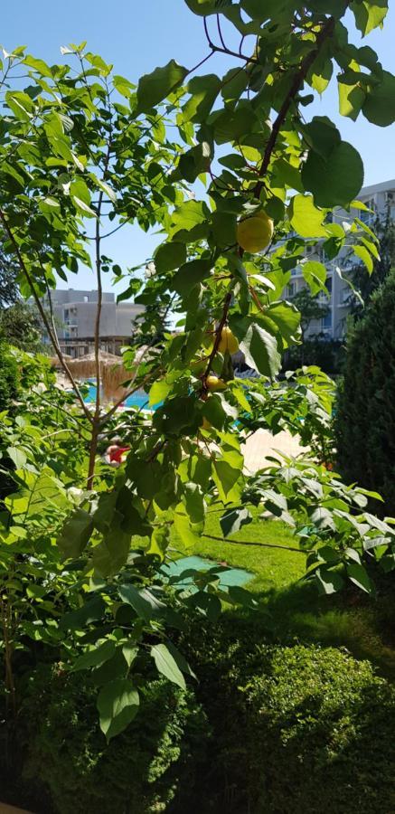 Apartment With Green Terrace 부르가스 외부 사진